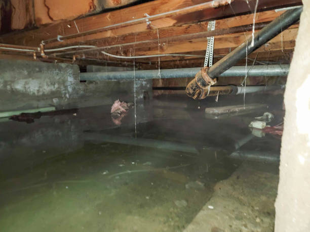 Best 24/7 water damage repair  in Union City, OK