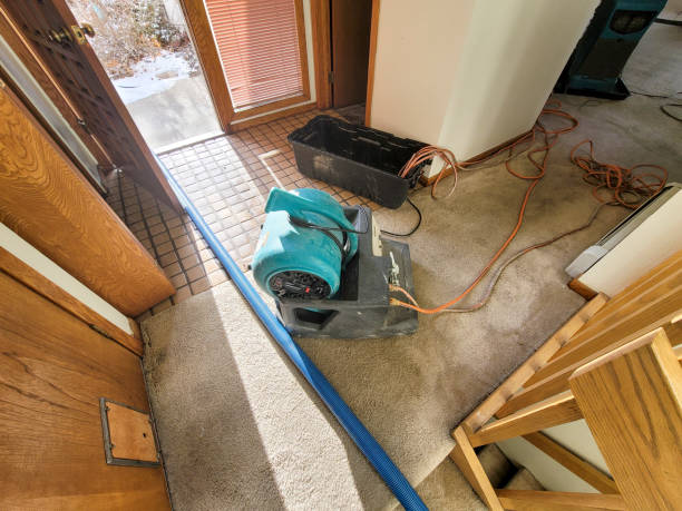 Best Water damage cleanup near me  in Union City, OK