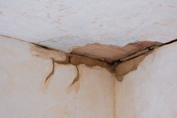 Best Mold removal after water damage  in Union City, OK