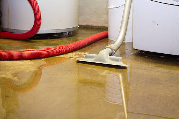 Best Local water damage restoration  in Union City, OK