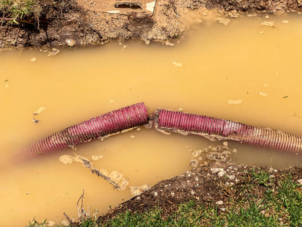 Local water damage restoration in OK